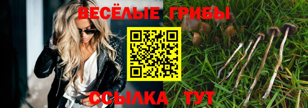 Псилоцибиновые грибы Cubensis  Вход с VPN  Галлюциногенные грибы ЛСД  Великий Устюг 